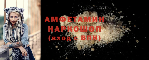 скорость Каменка