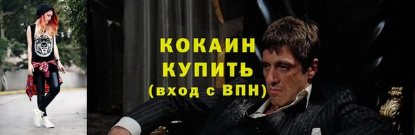 скорость Каменка
