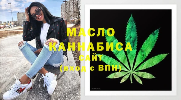 скорость Каменка