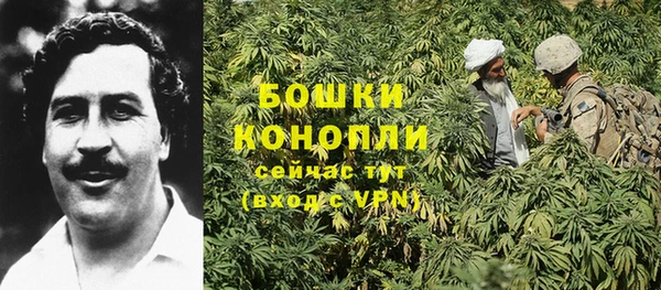 скорость Каменка
