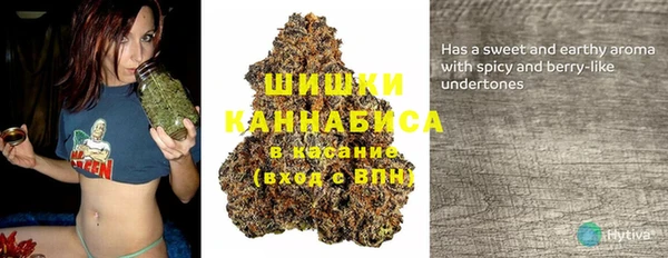 скорость Каменка