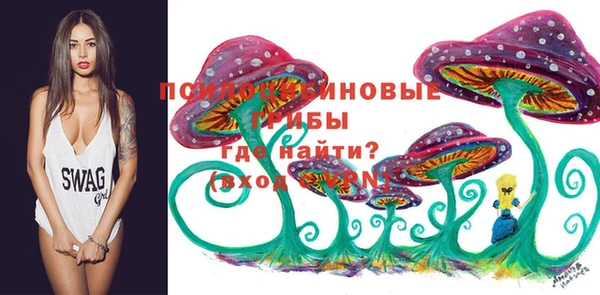 ECSTASY Каменногорск