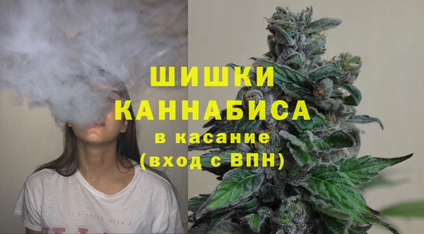скорость Каменка