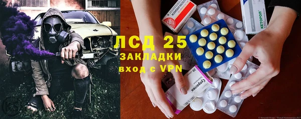 скорость Каменка