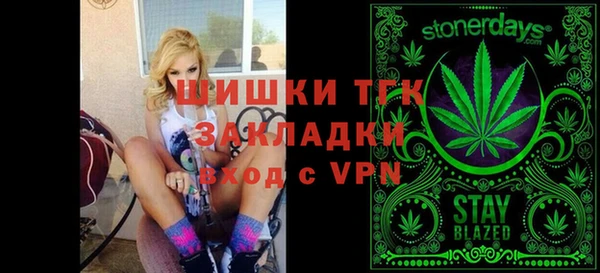 скорость Каменка