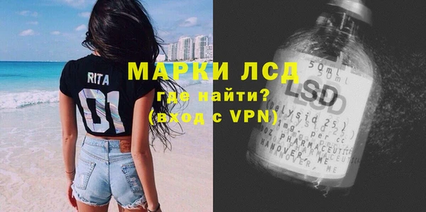 скорость Каменка