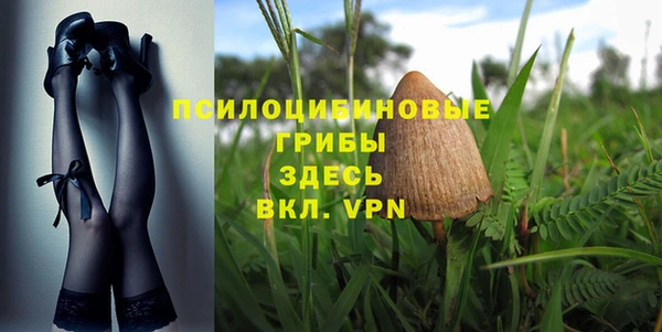 ECSTASY Каменногорск
