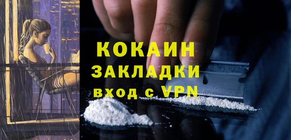 скорость Каменка