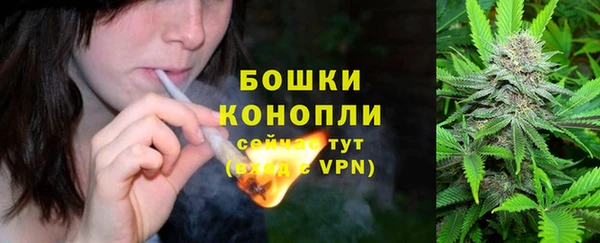 скорость Каменка